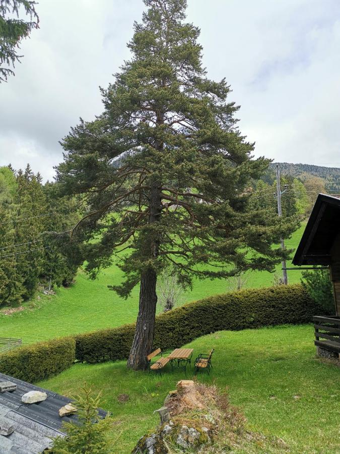 Waldheimat Διαμέρισμα Fresach Εξωτερικό φωτογραφία